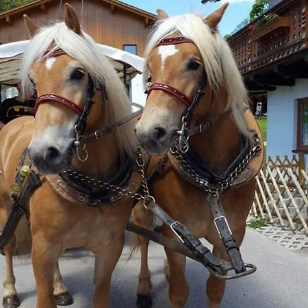 Minzlhof Penzion Ramsau am Dachstein